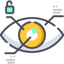 electronics,security,vision,eye,identity,identification,testing,iris,eye recognition,scanning,retinal,biometric recognition